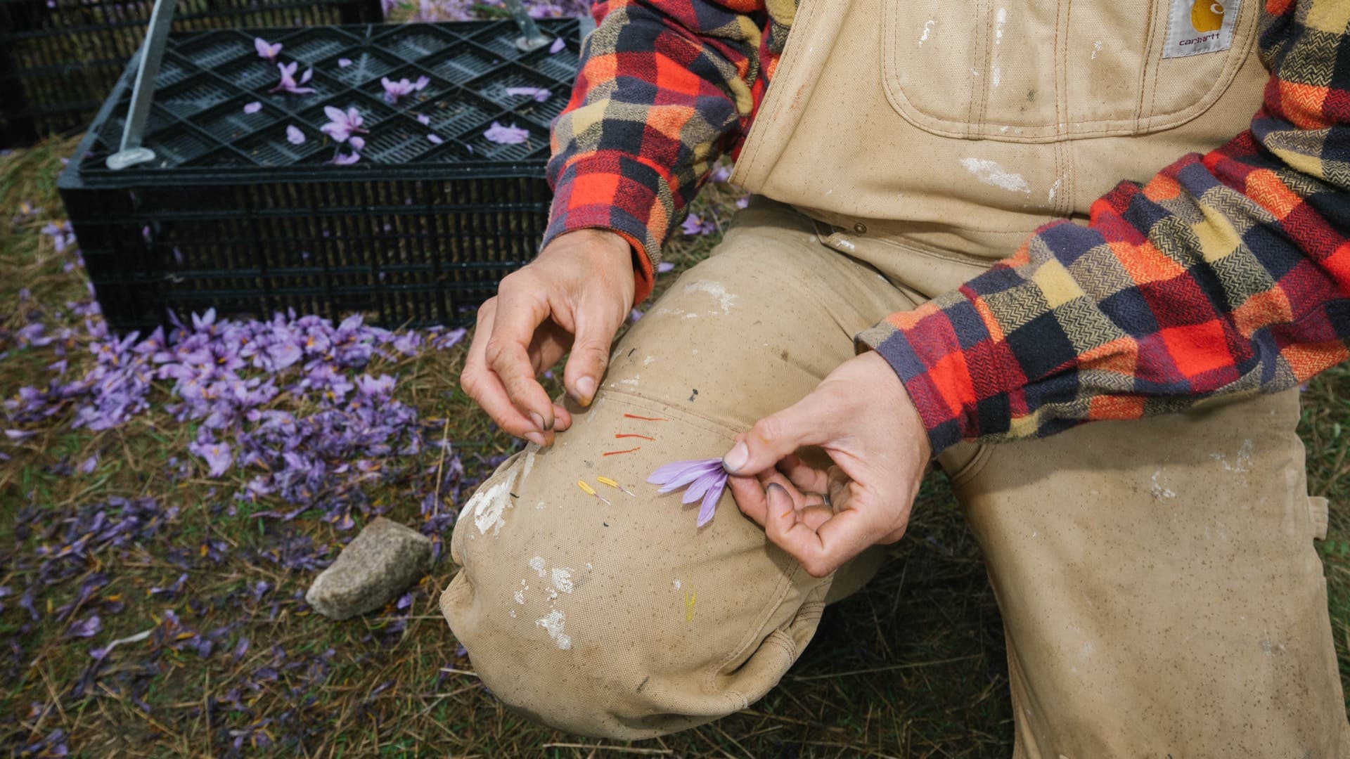 Myllas affärsmodell?