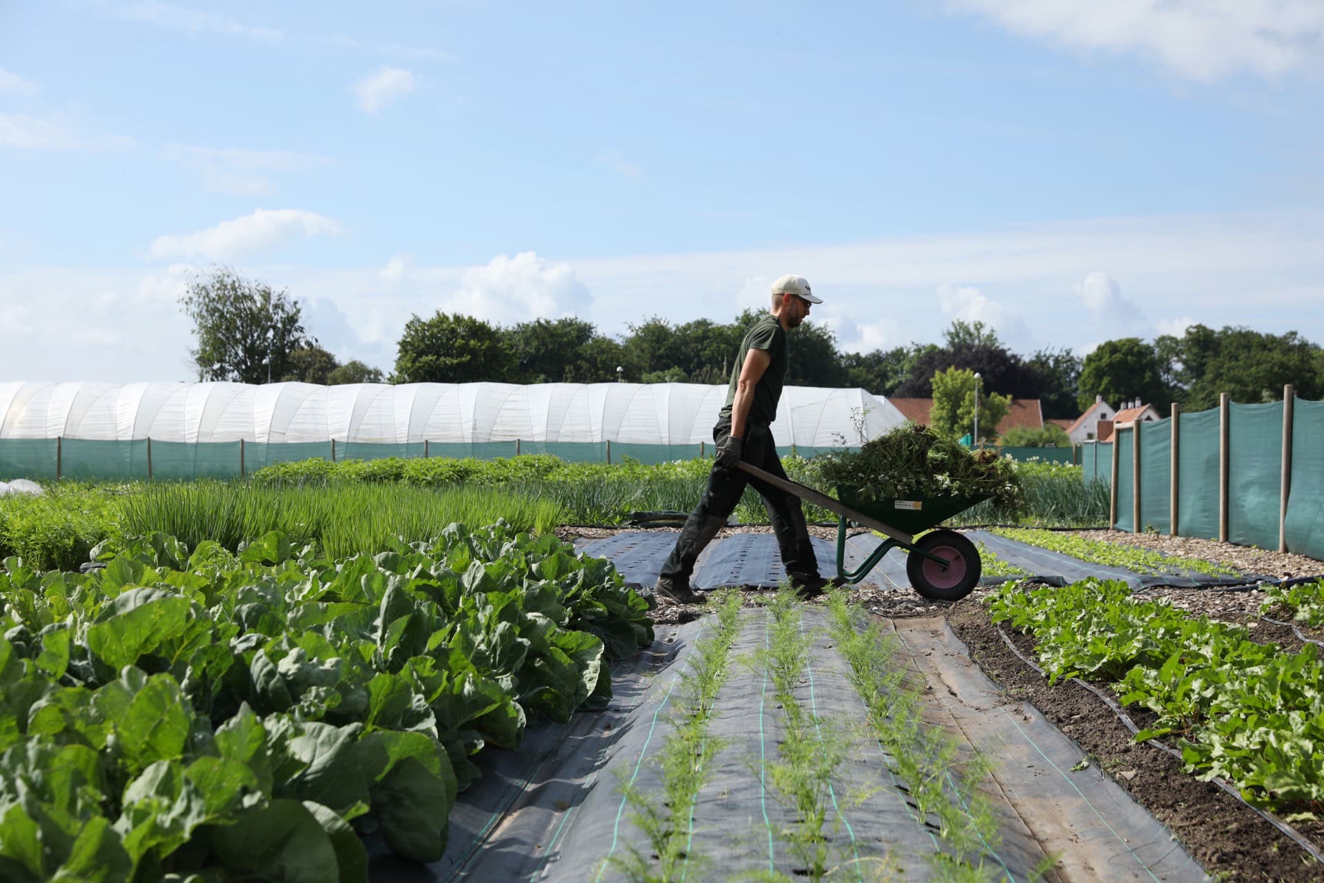 Varför investera i Mylla?