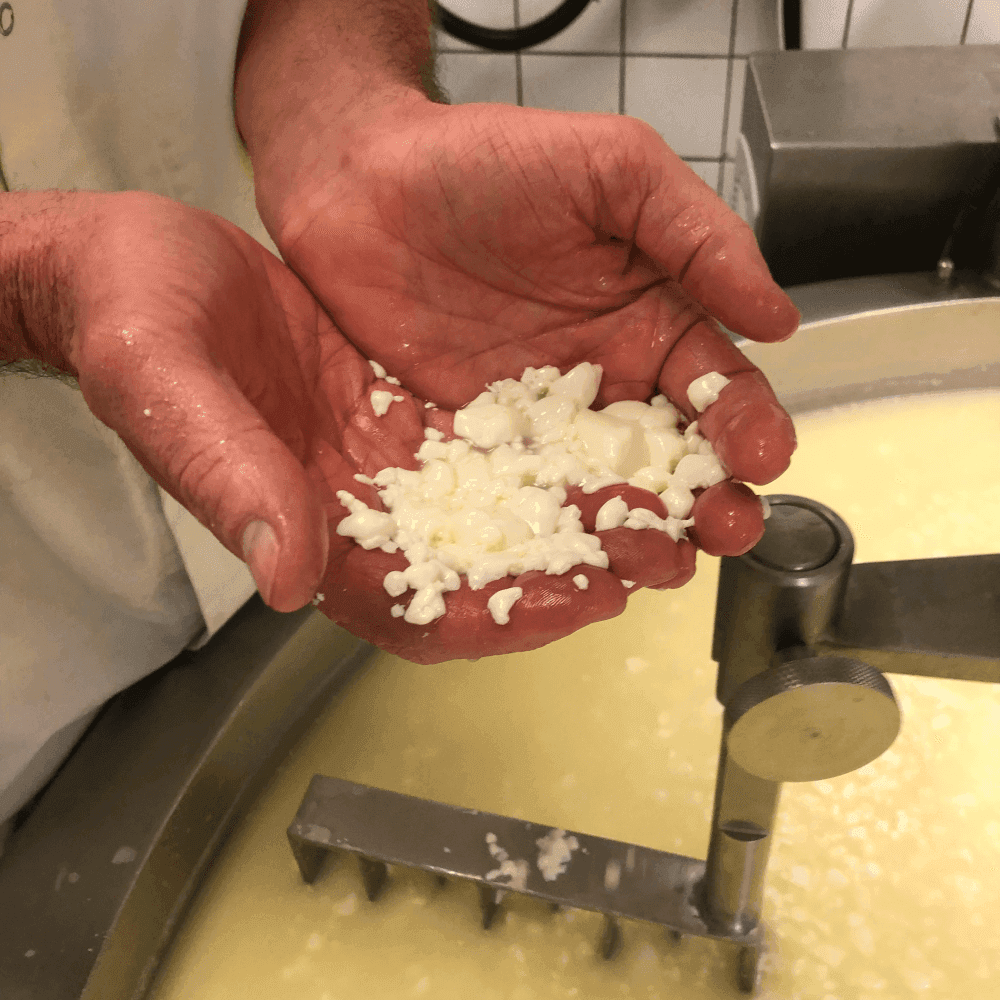 Ölands köksmejeri6