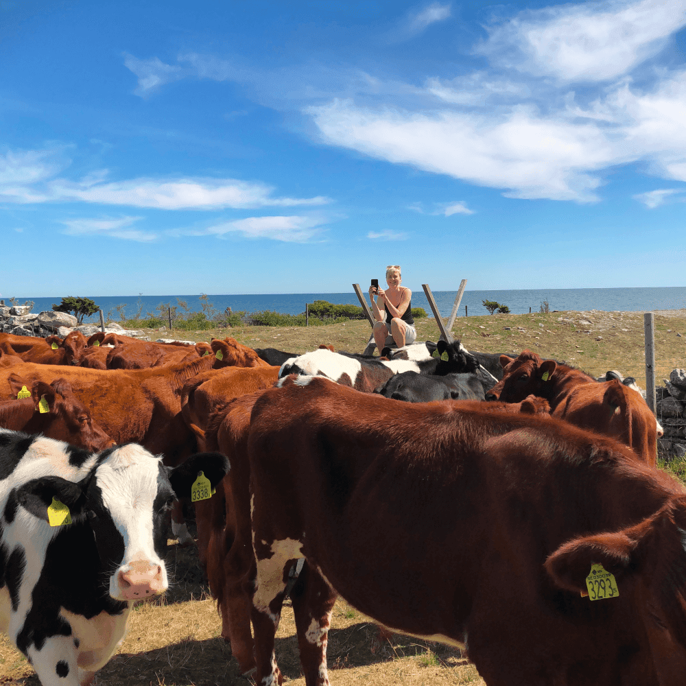 Ölands köksmejeri2