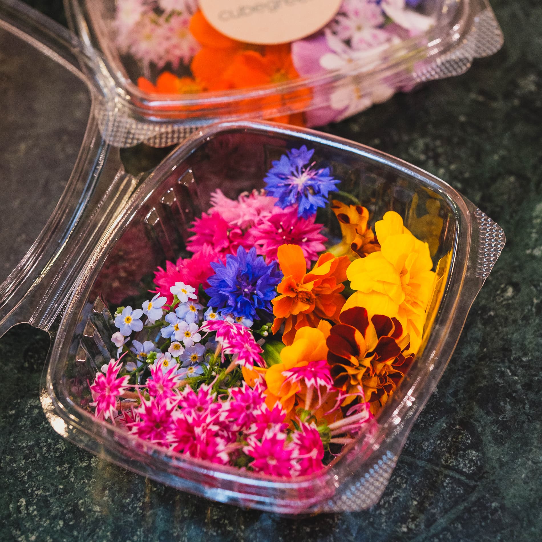 Blommor i ask