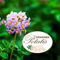 Gränsbo Potatis AB