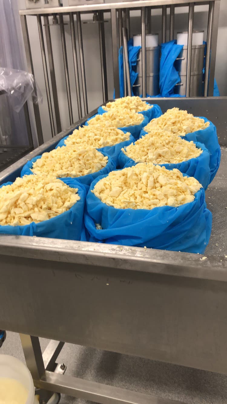 Ostmassa ligger i blå formar 