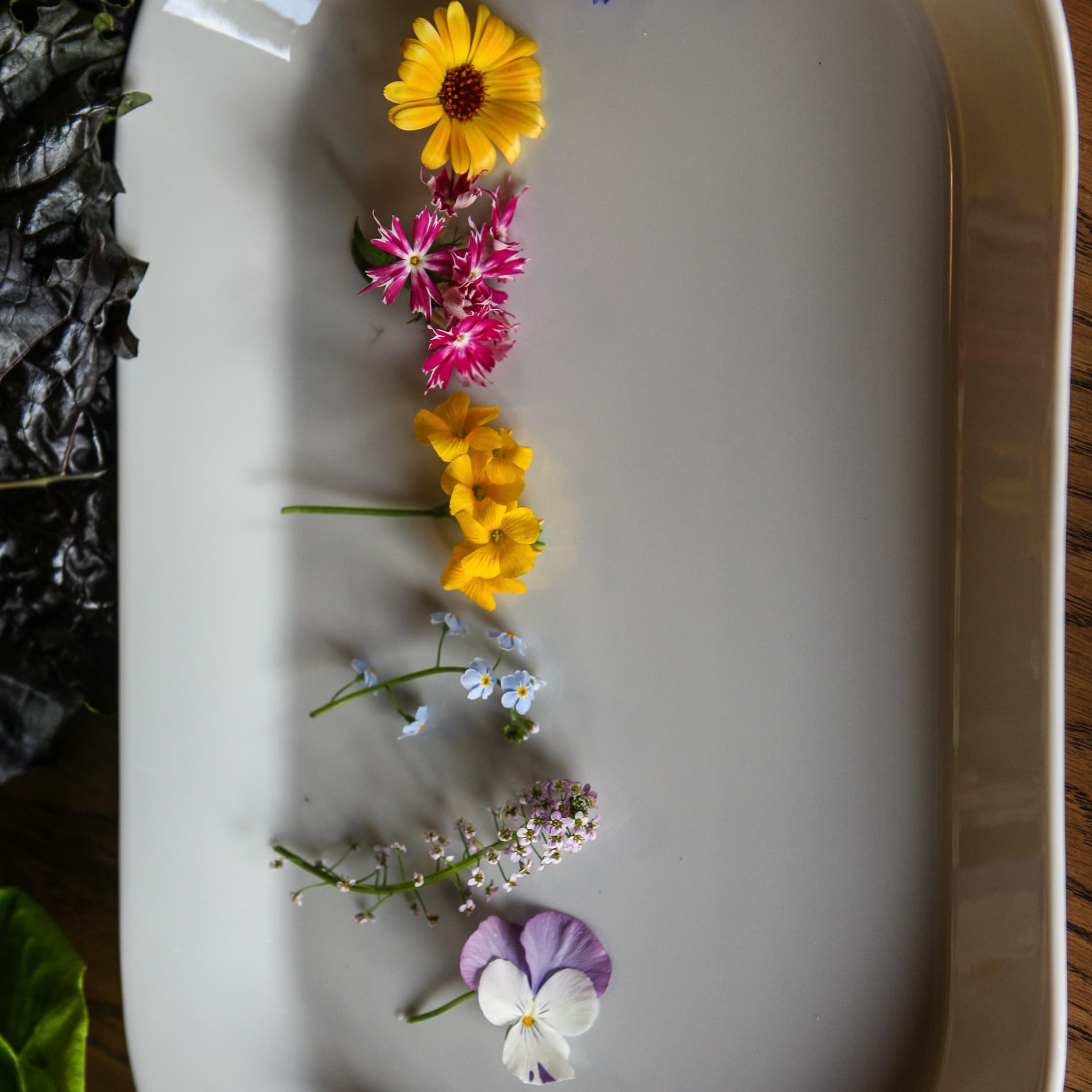 Blommor på rad