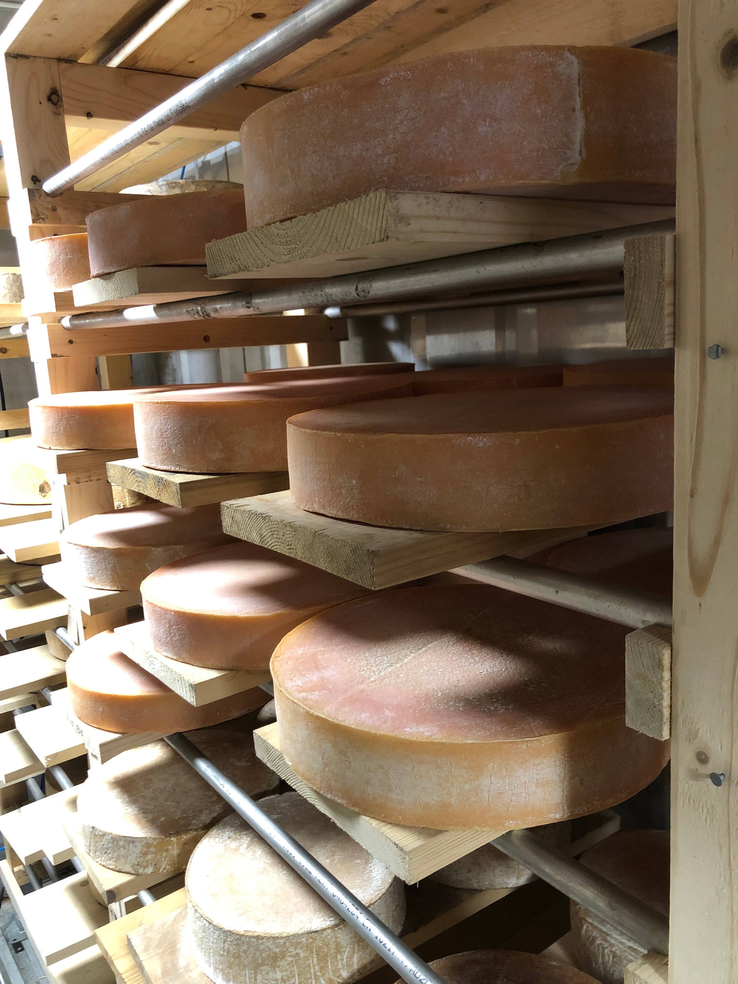 Ostar i lagringsrum på Kungsbacka ysteri