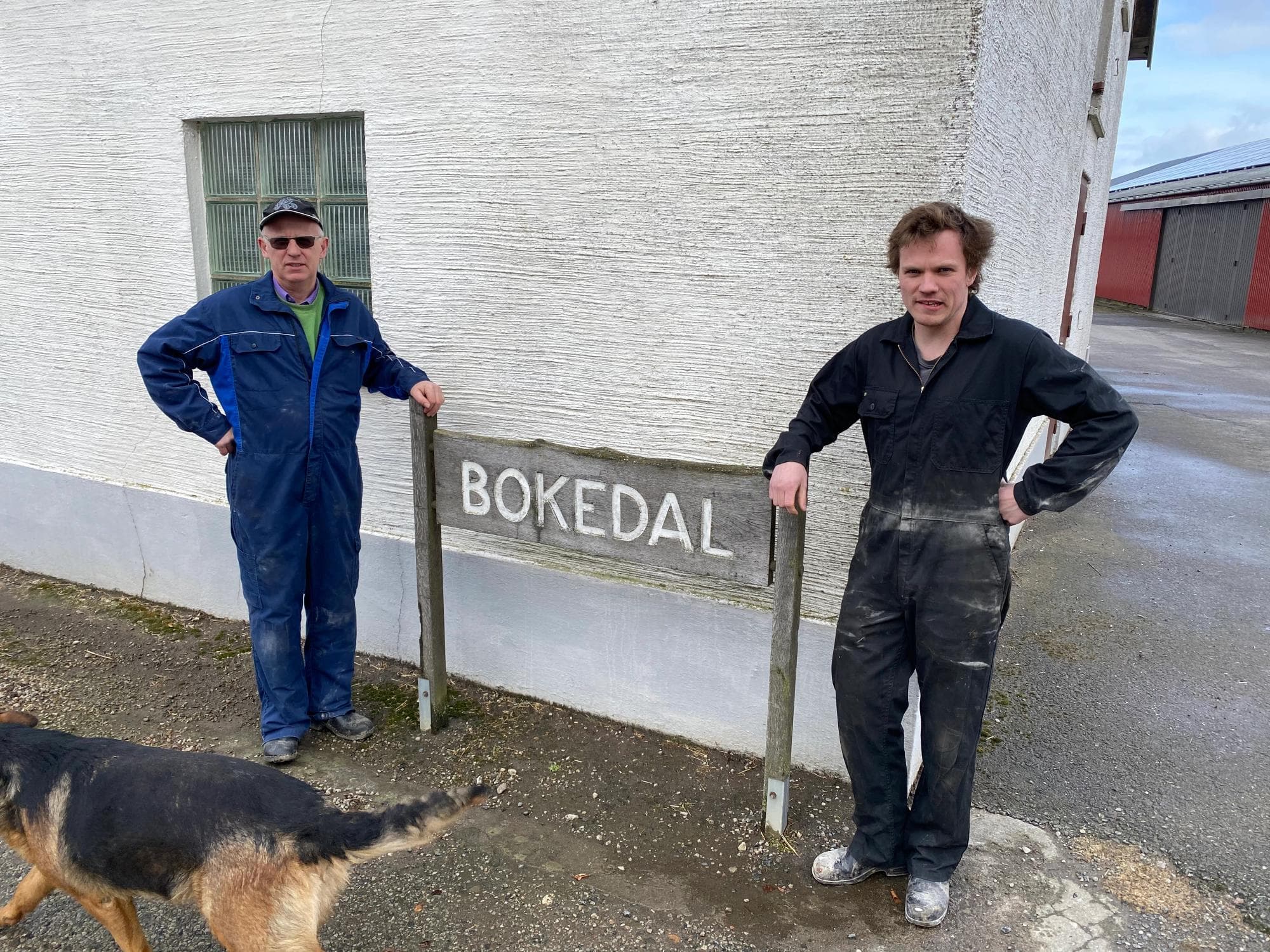 bokedal 2
