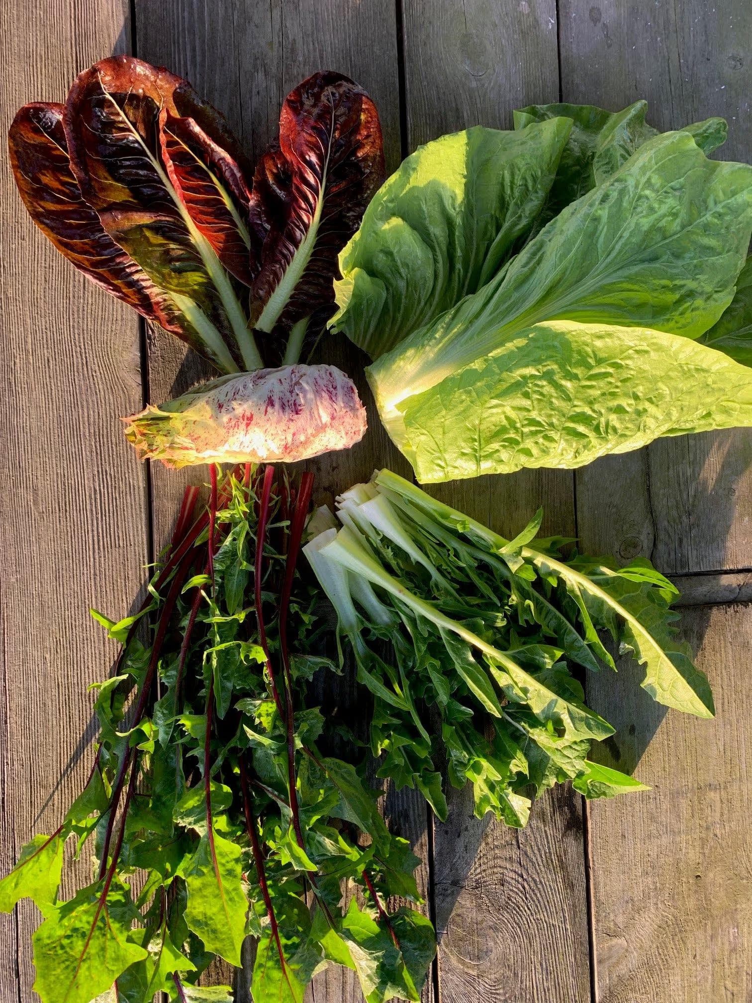 Bokeslundsgården-sallat