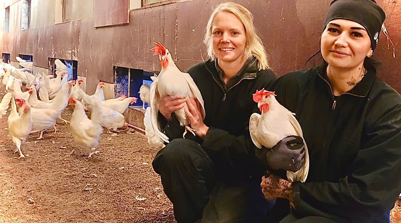 Direkt från bonden bild 1