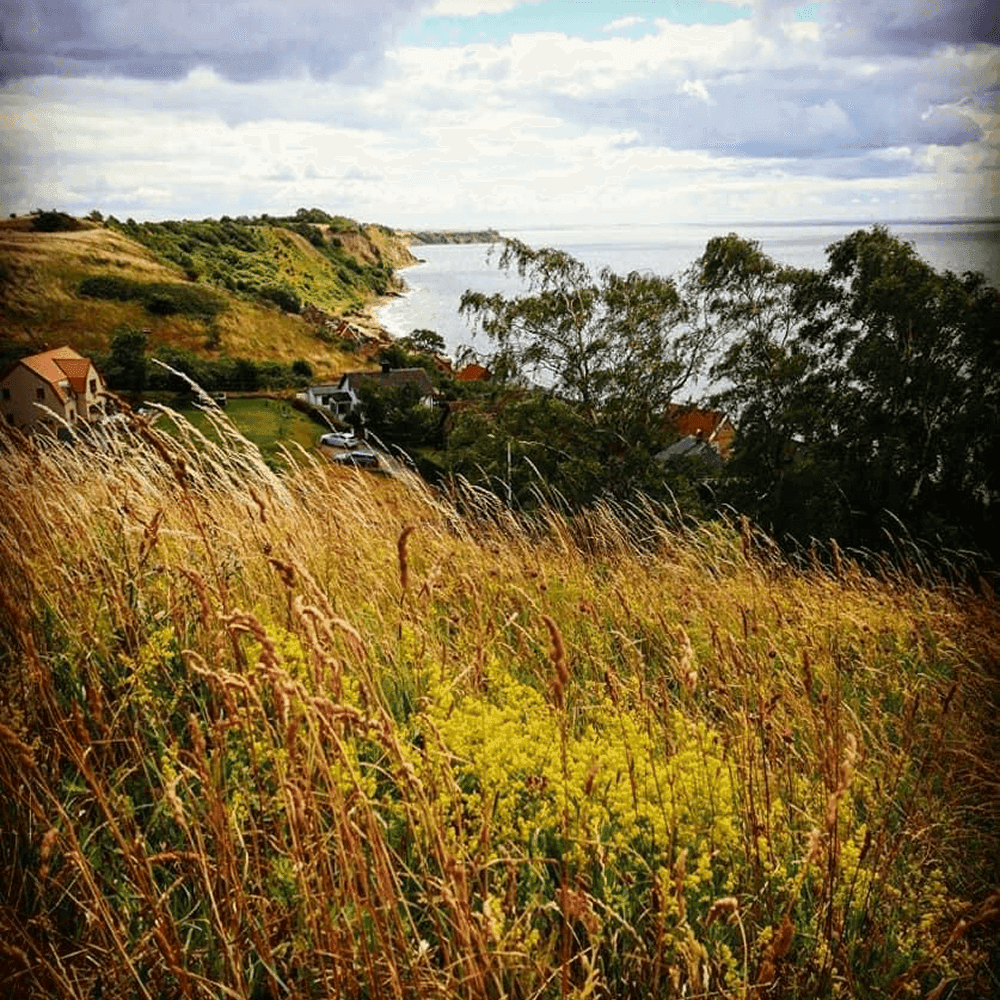 Gardsbutiken_pa_ven1