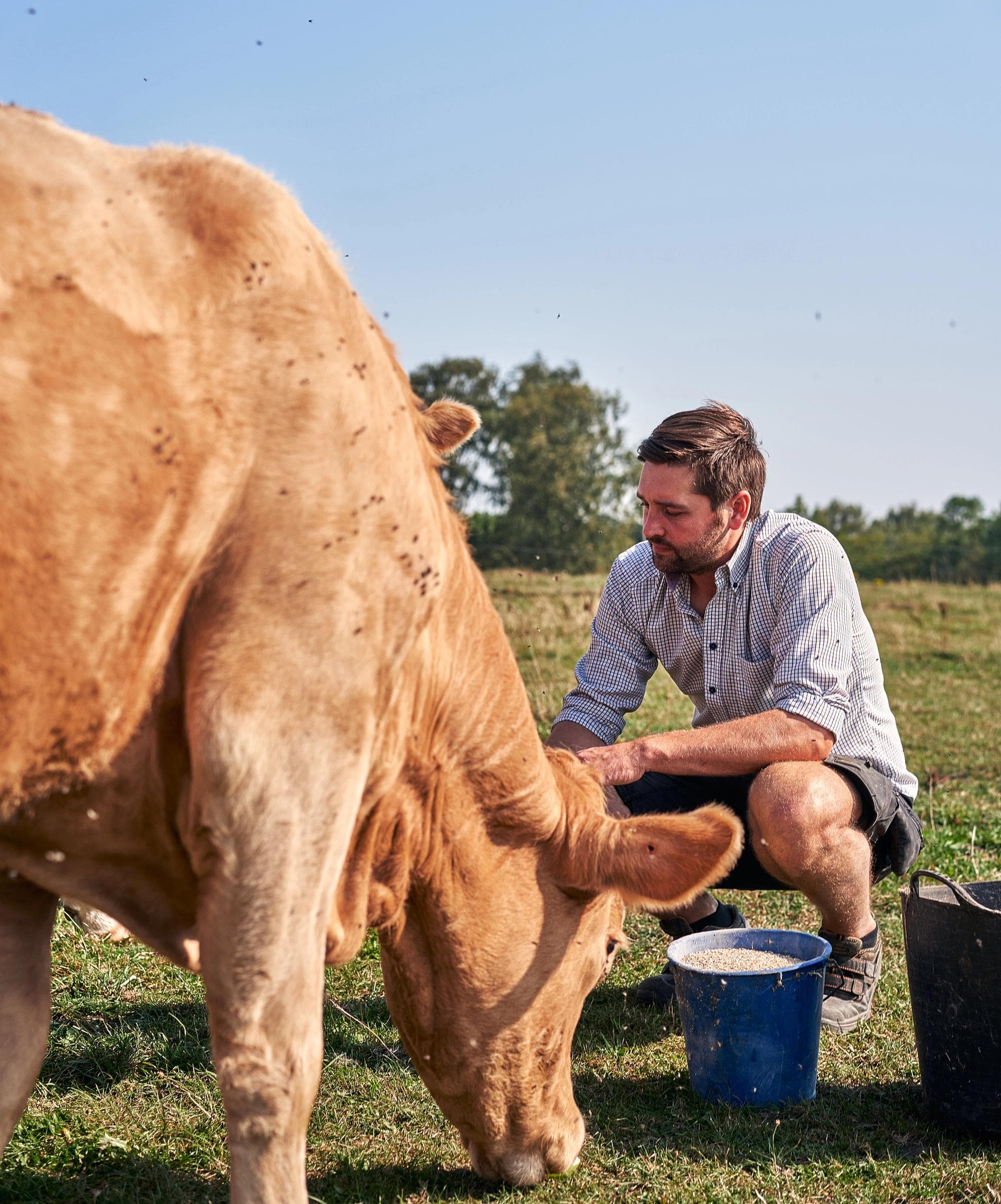 kött direkt från bonden jens i kohagen 