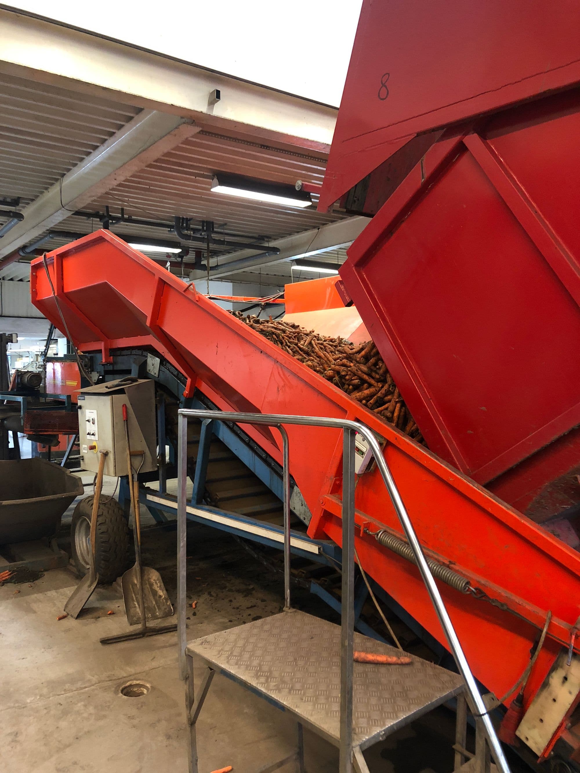 Möllegårdens morötter bild 2