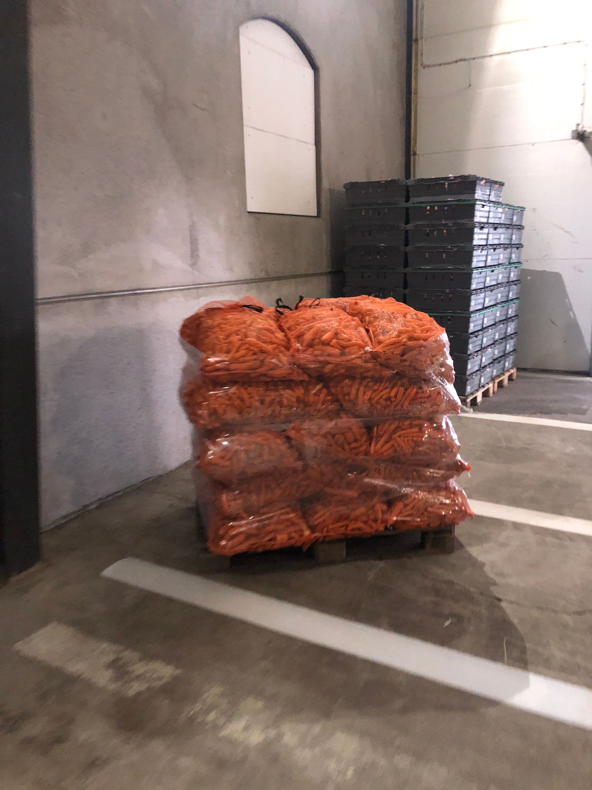 Möllegårdens morötter bild 5