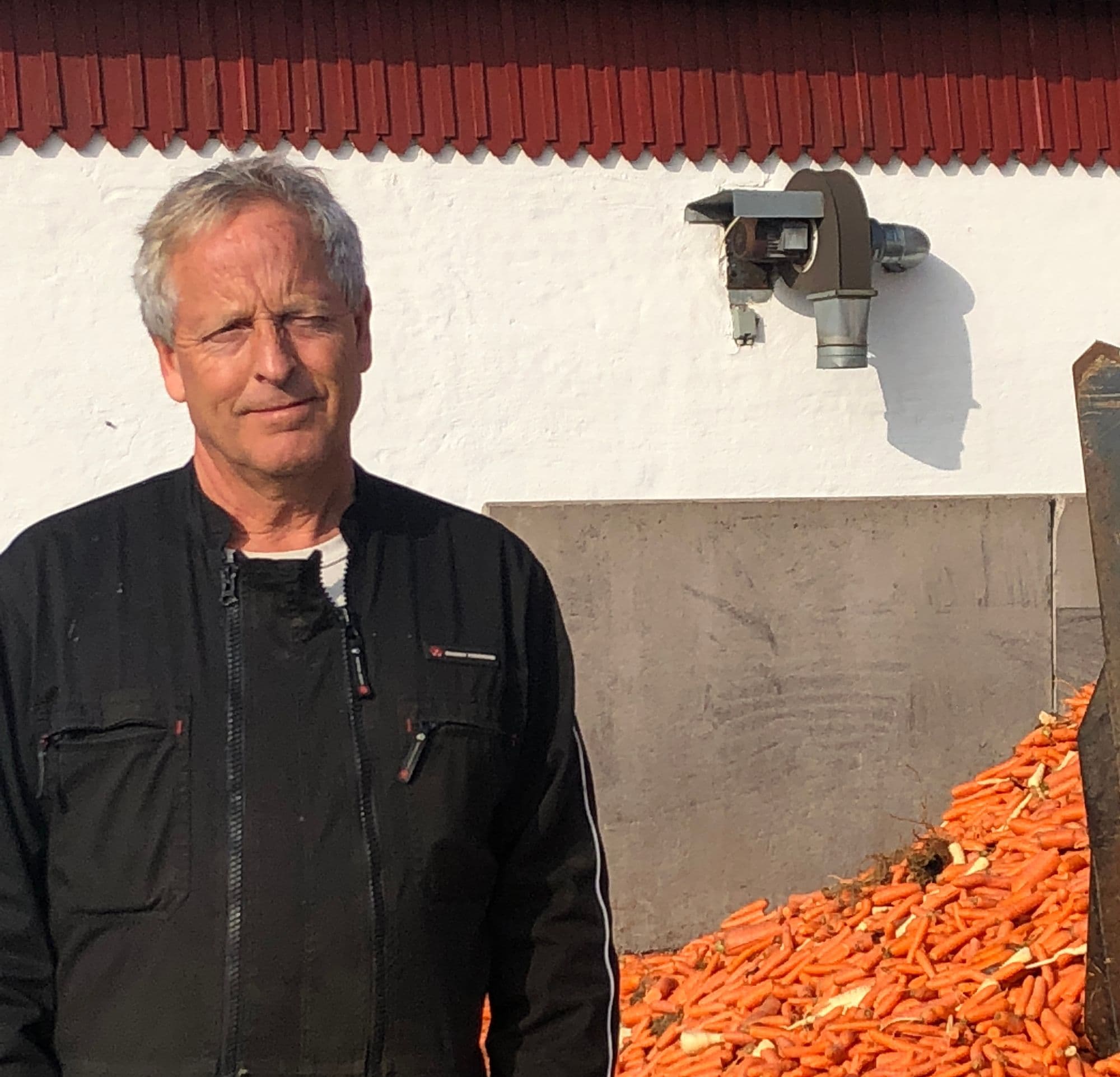 Möllegårdens morötter