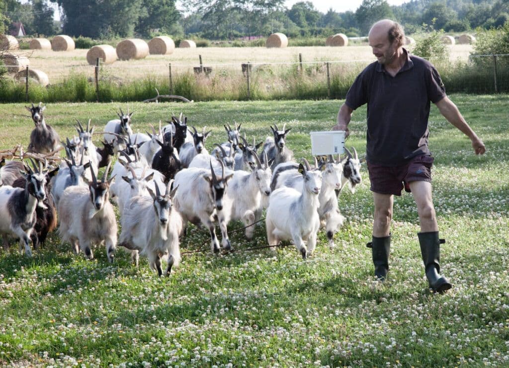 Orranäs Gårdsmejeri bild 5