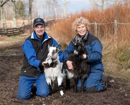 Orranäs Gårdsmejeri