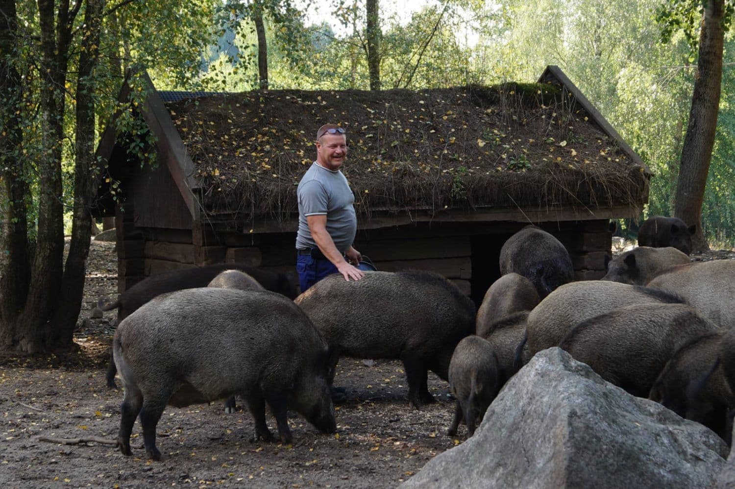 Sjunkaröd - Skånska kött & vilt