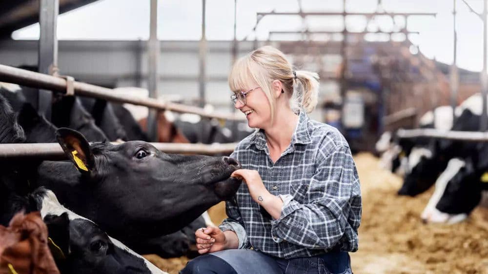 Skånemejerier bild 3