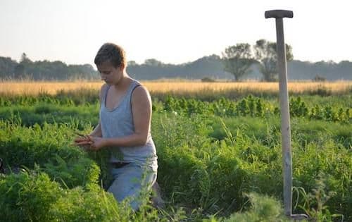 Solmarka Gård bild 2