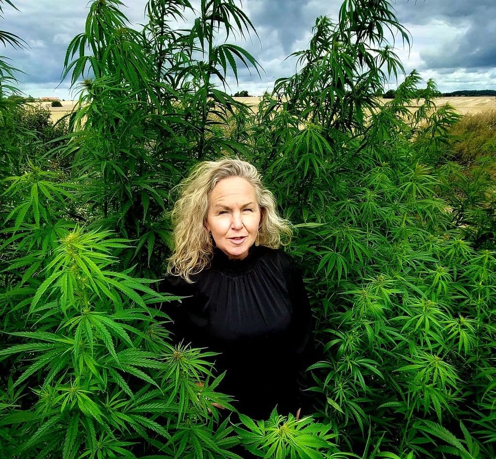 Svensk Hampaindustri