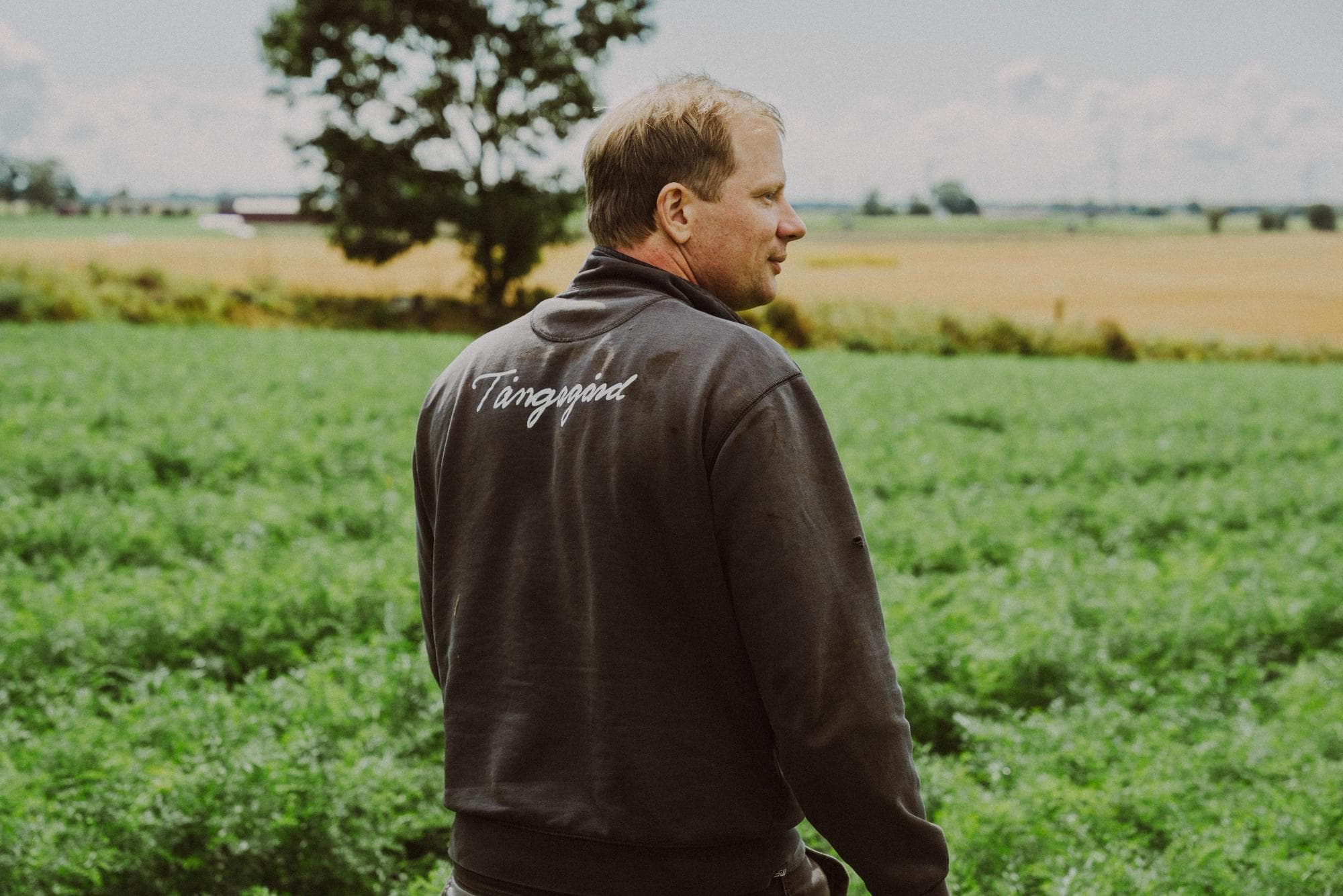Ivar tittar ut över ett fält