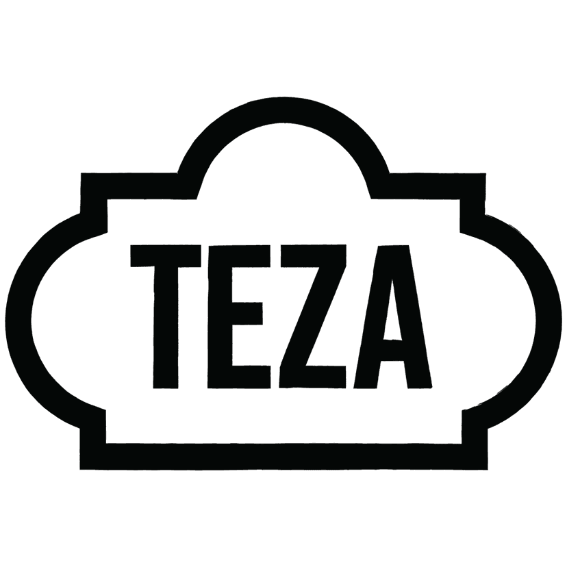 Teza_logo