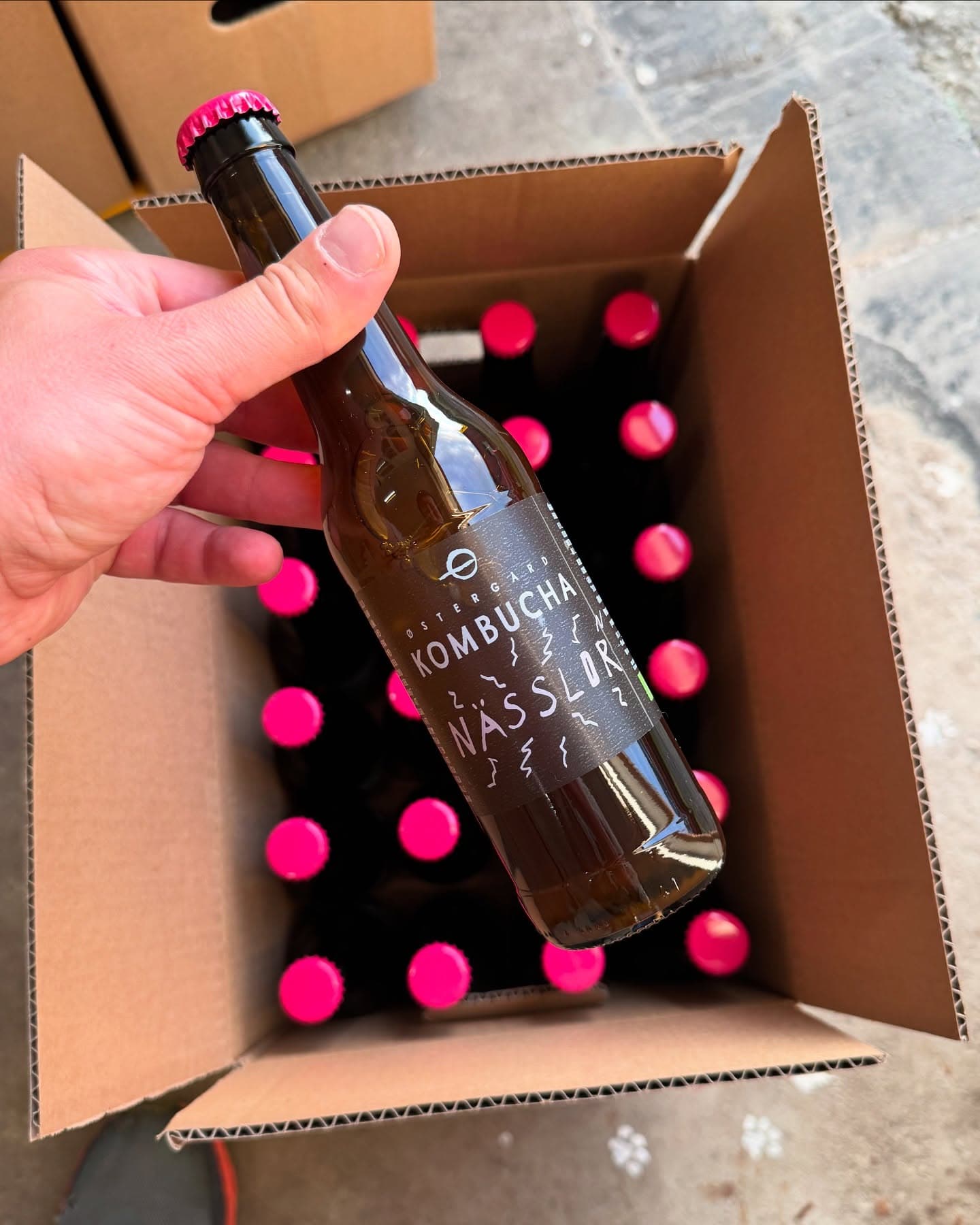 Kombucha, Nässlor EKO 33cl