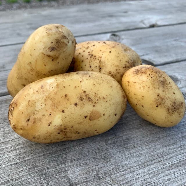Potatis - KRAV Tinca 1kg
