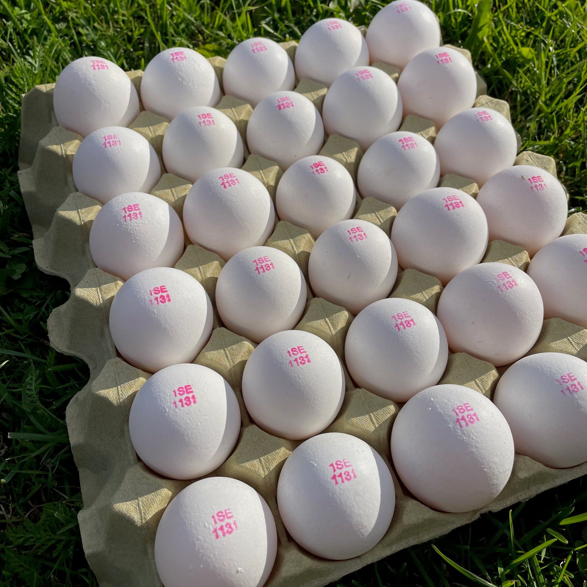 Grönbetesägg 30-pack storlek S