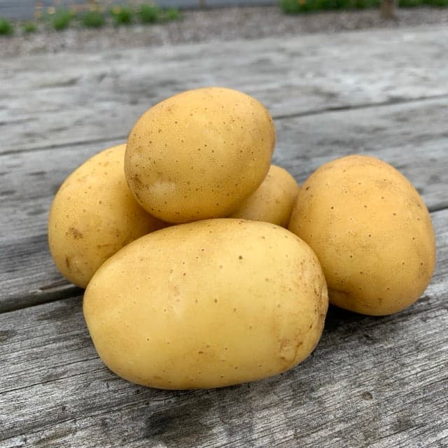Potatis - KRAV Princess 1kg