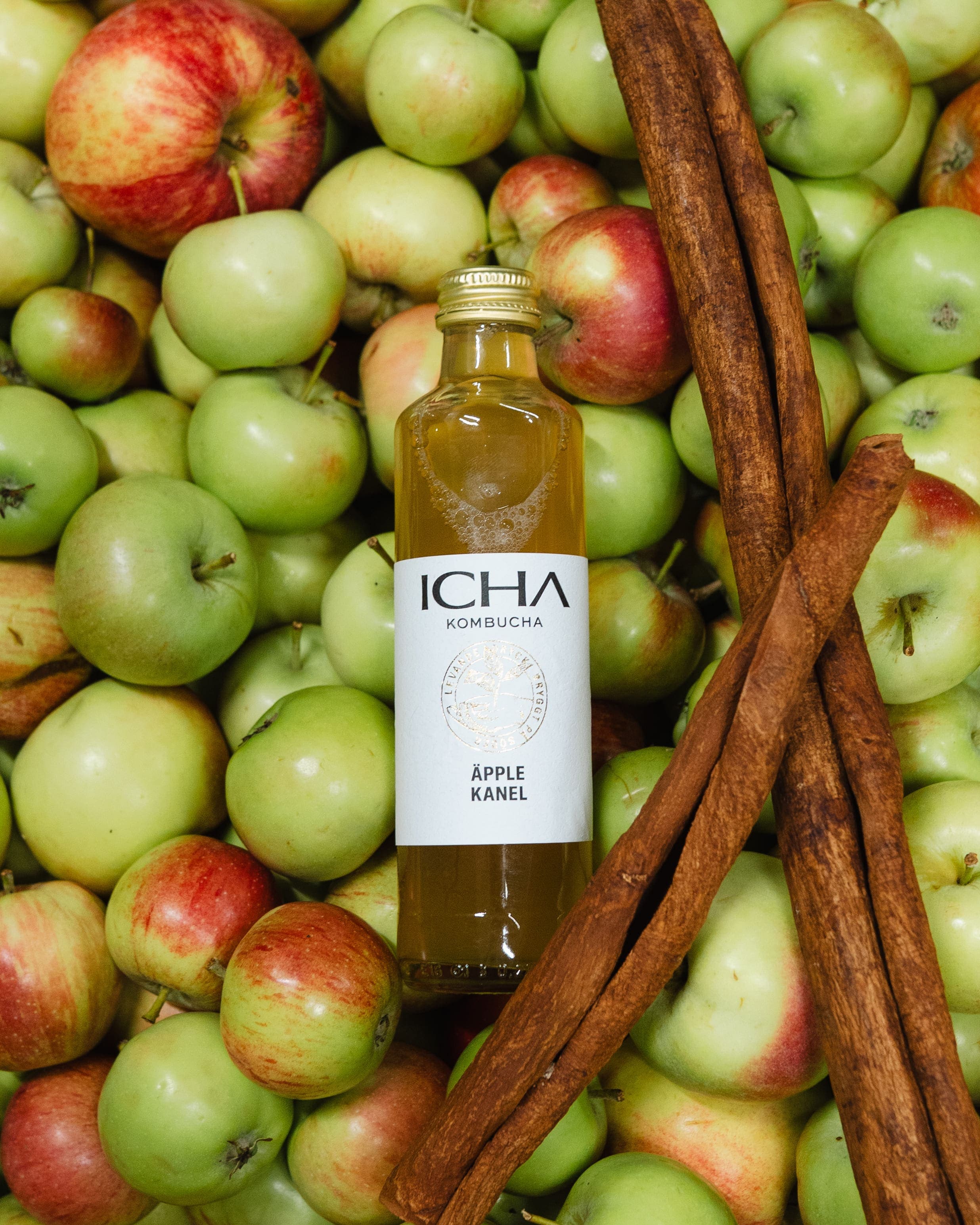 Äpple & Kanel Kombucha (EKO)