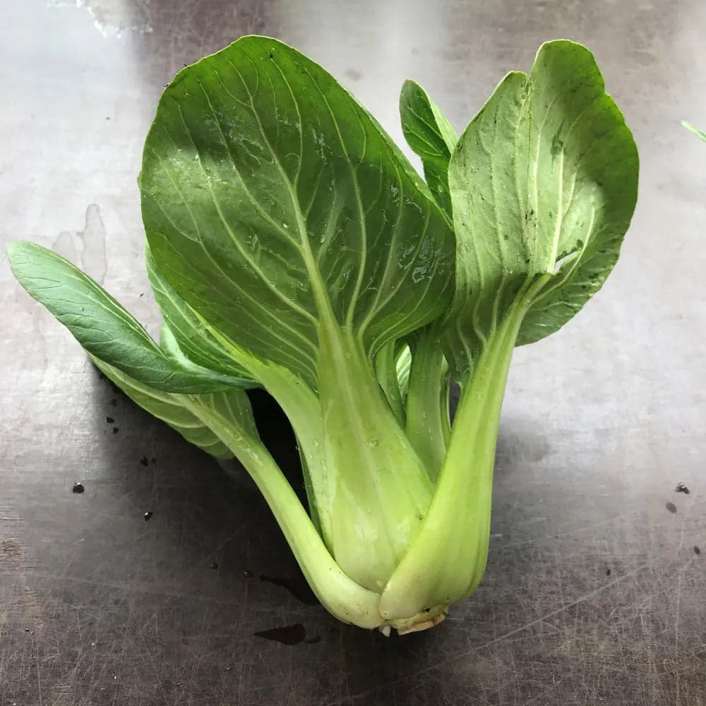 Pak Choi 300g - KRAV