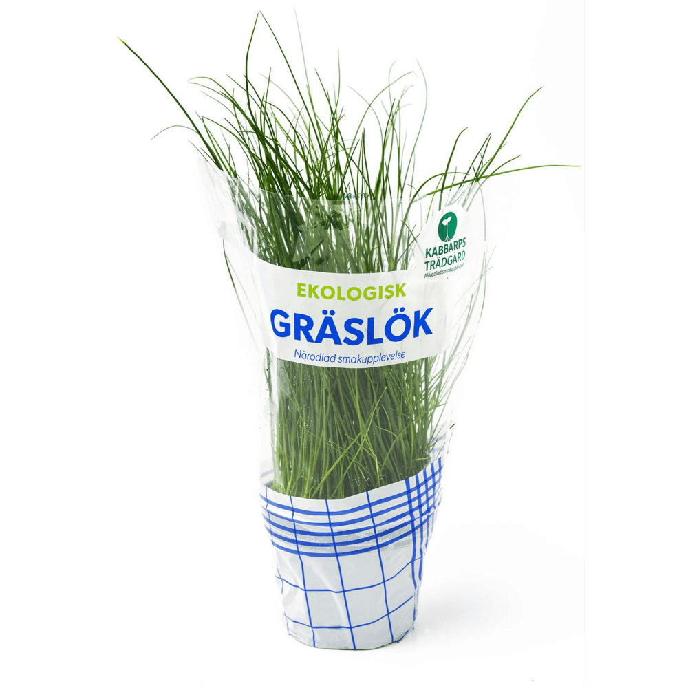 Gräslök EKO