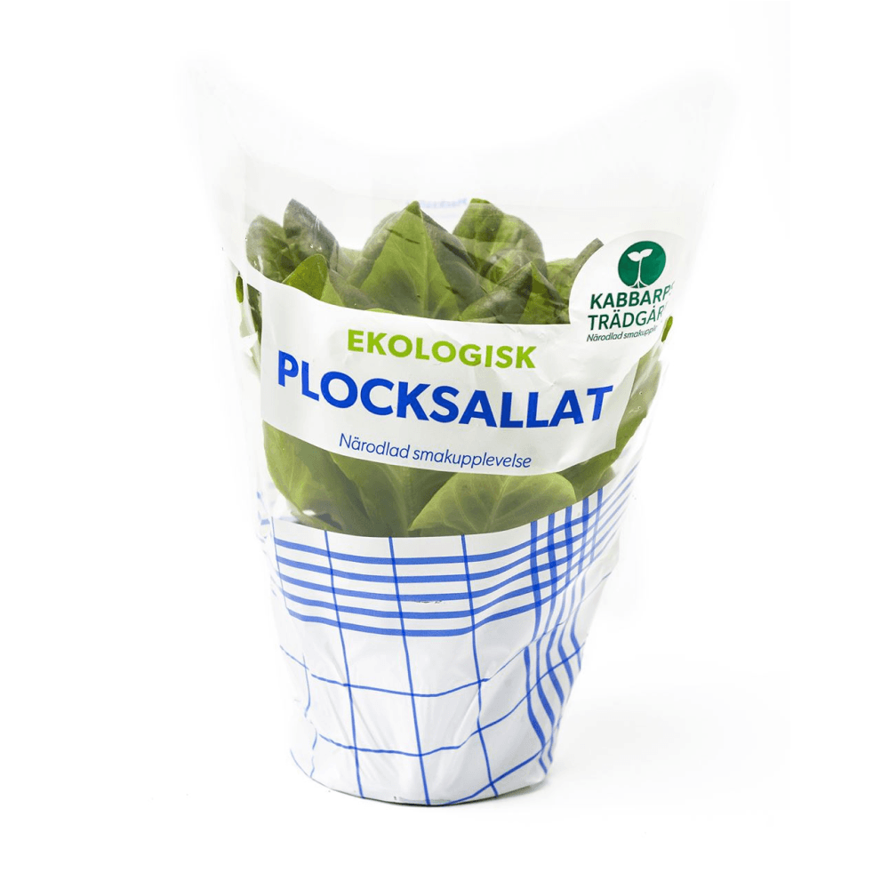 Salanova Grön - (Plocksallat) EKO