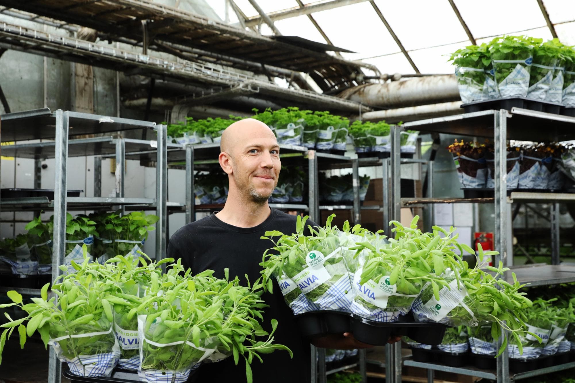 Kabbarps Trädgård bild 6