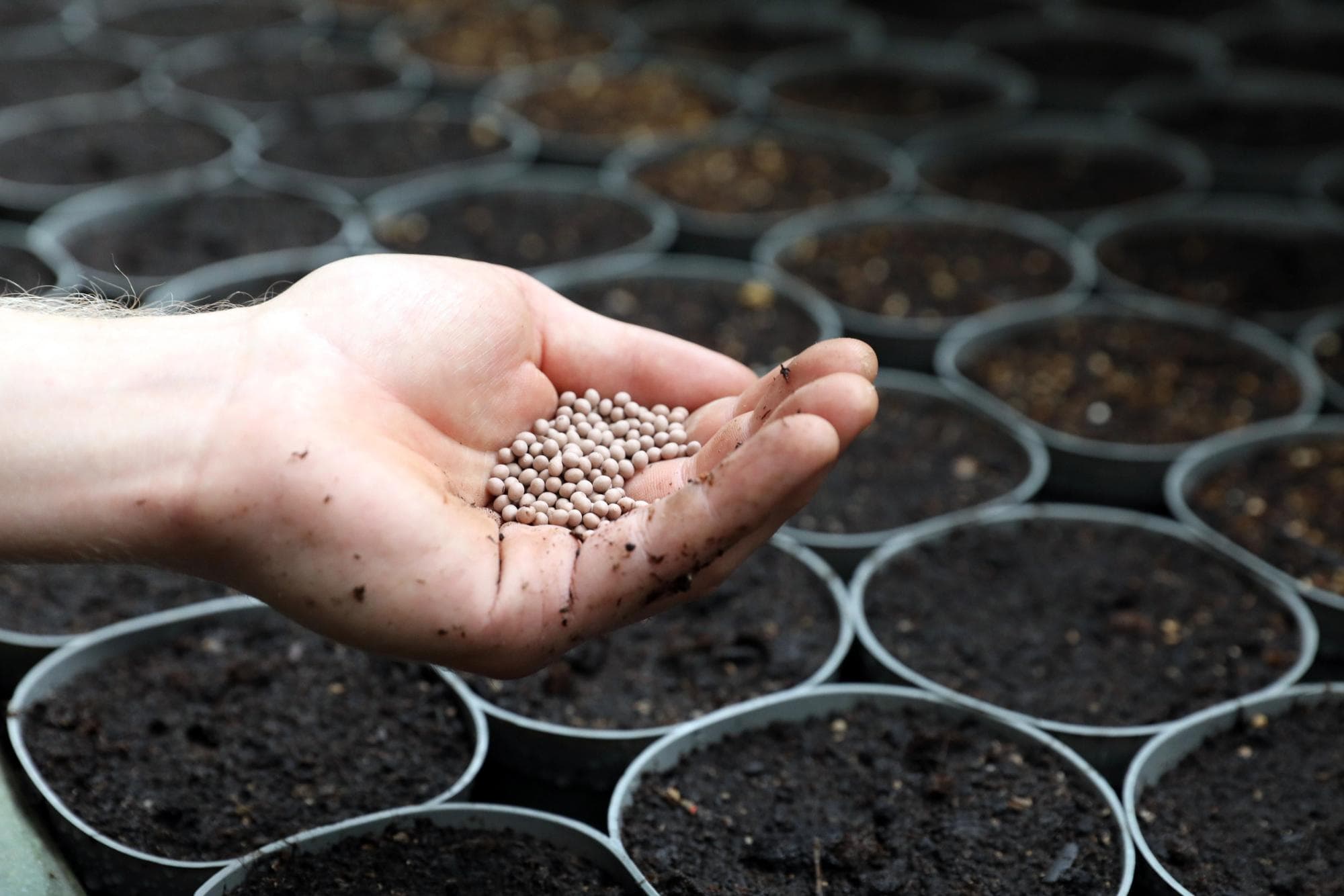 Kabbarps Trädgård bild 5