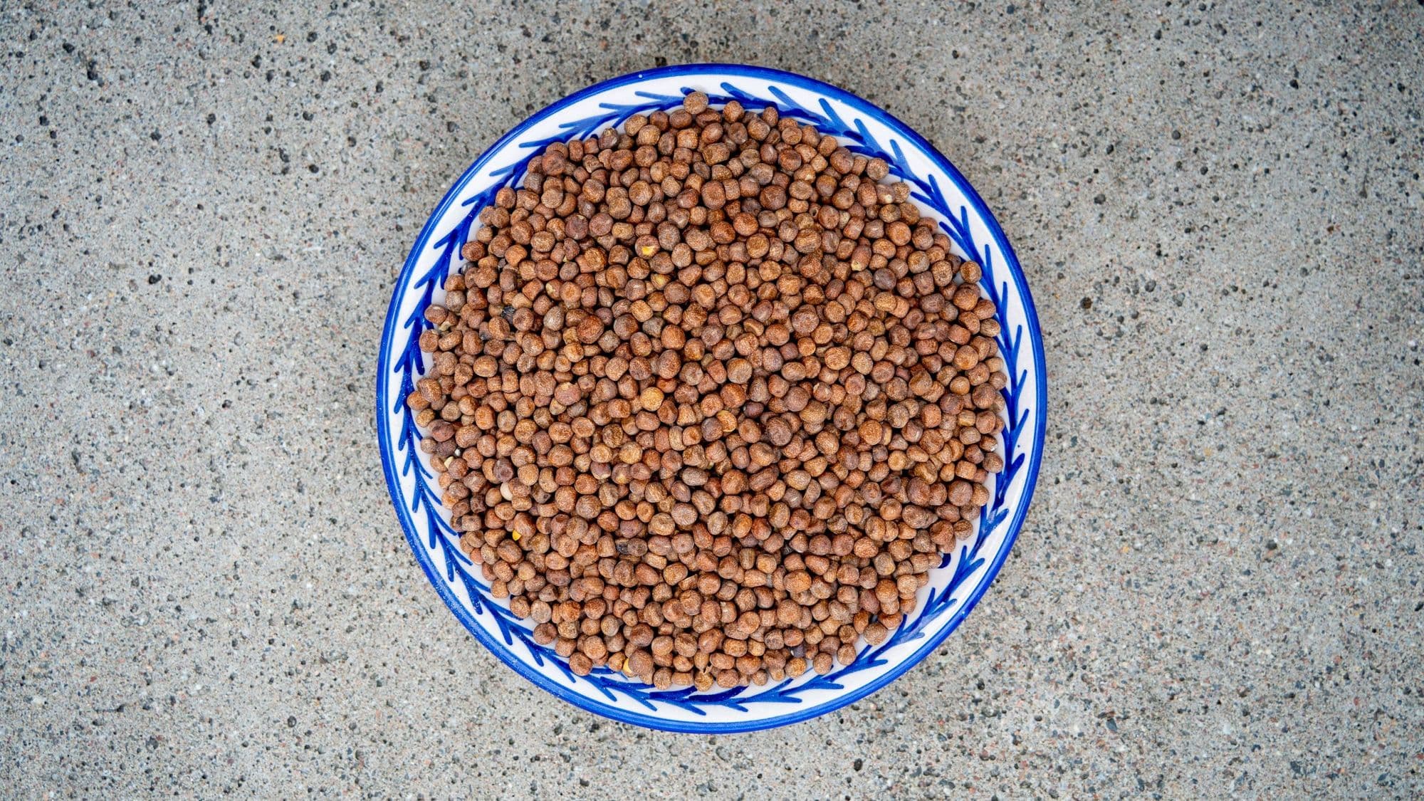 Gråärta liggande i skål