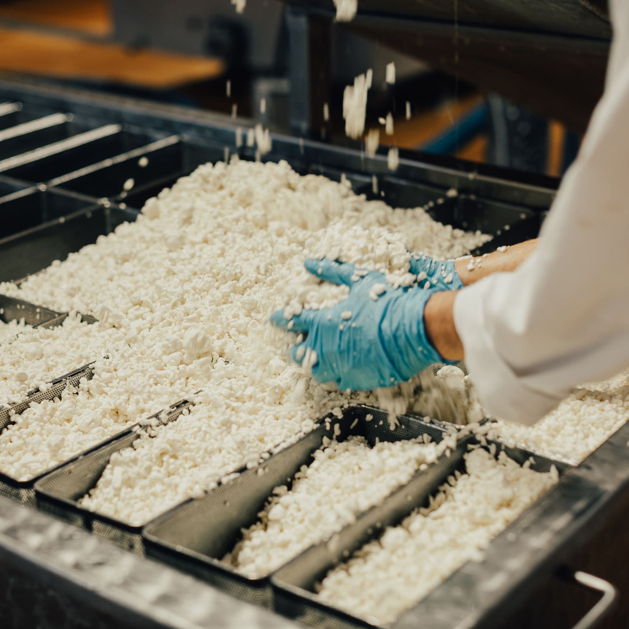 Ostproduktion-hander-skottorps-mejeri