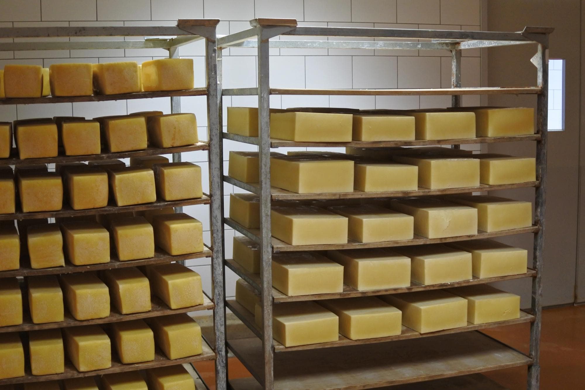 Skottorps Mejeri bild 2