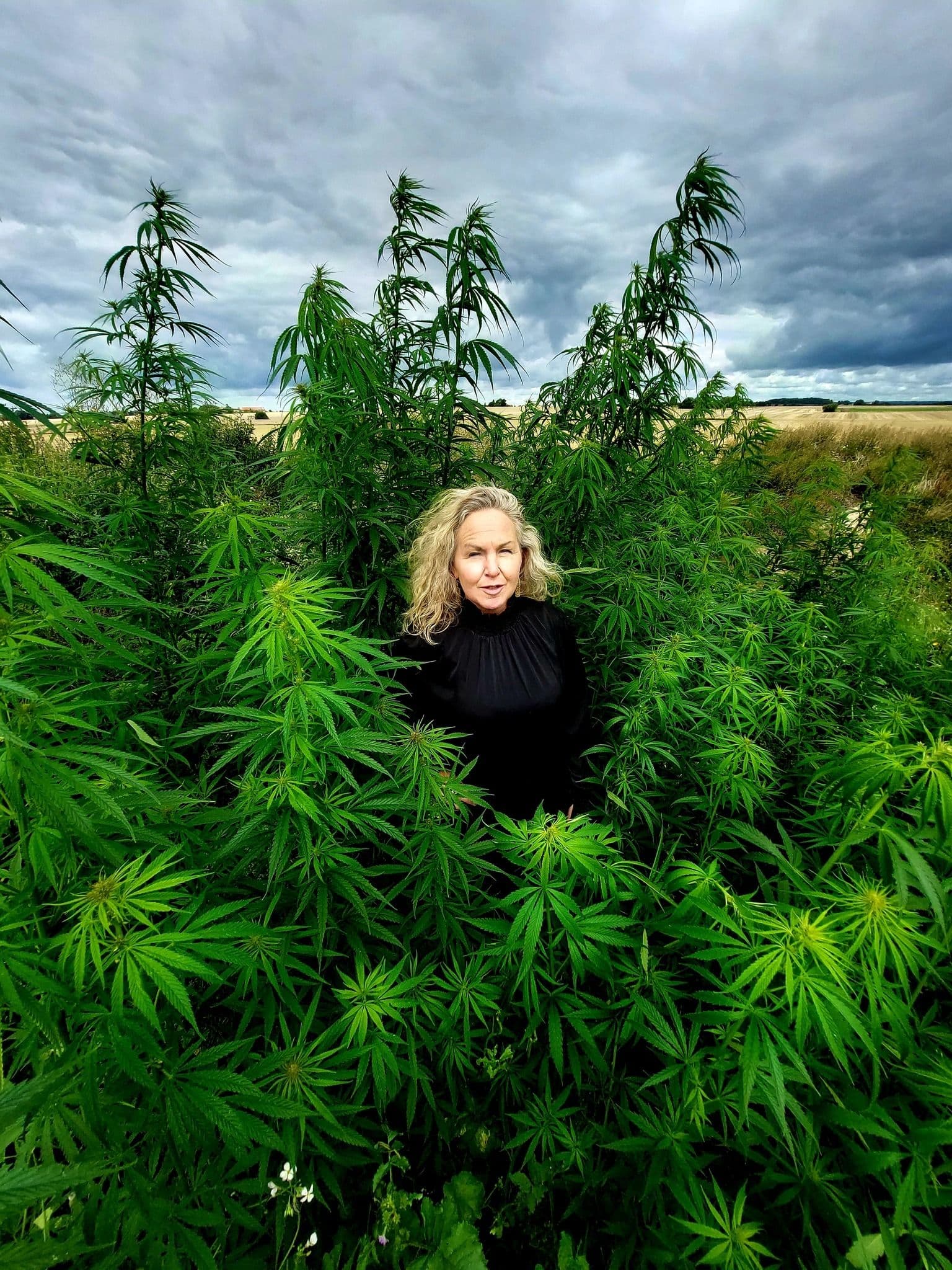 Svens_hampaindustri_1