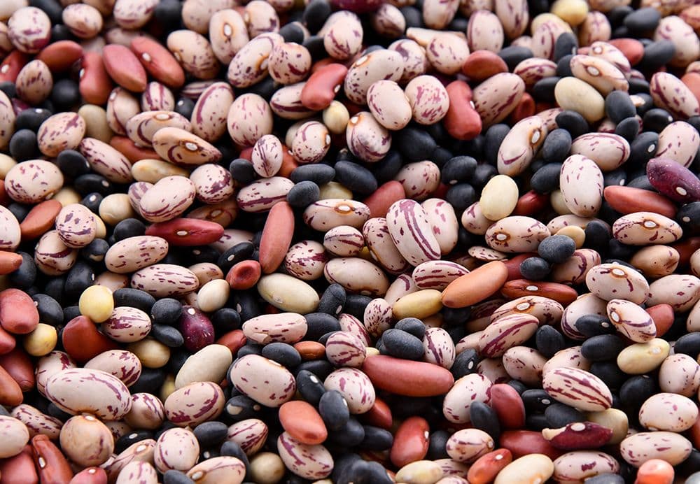 bönor i olika varianter