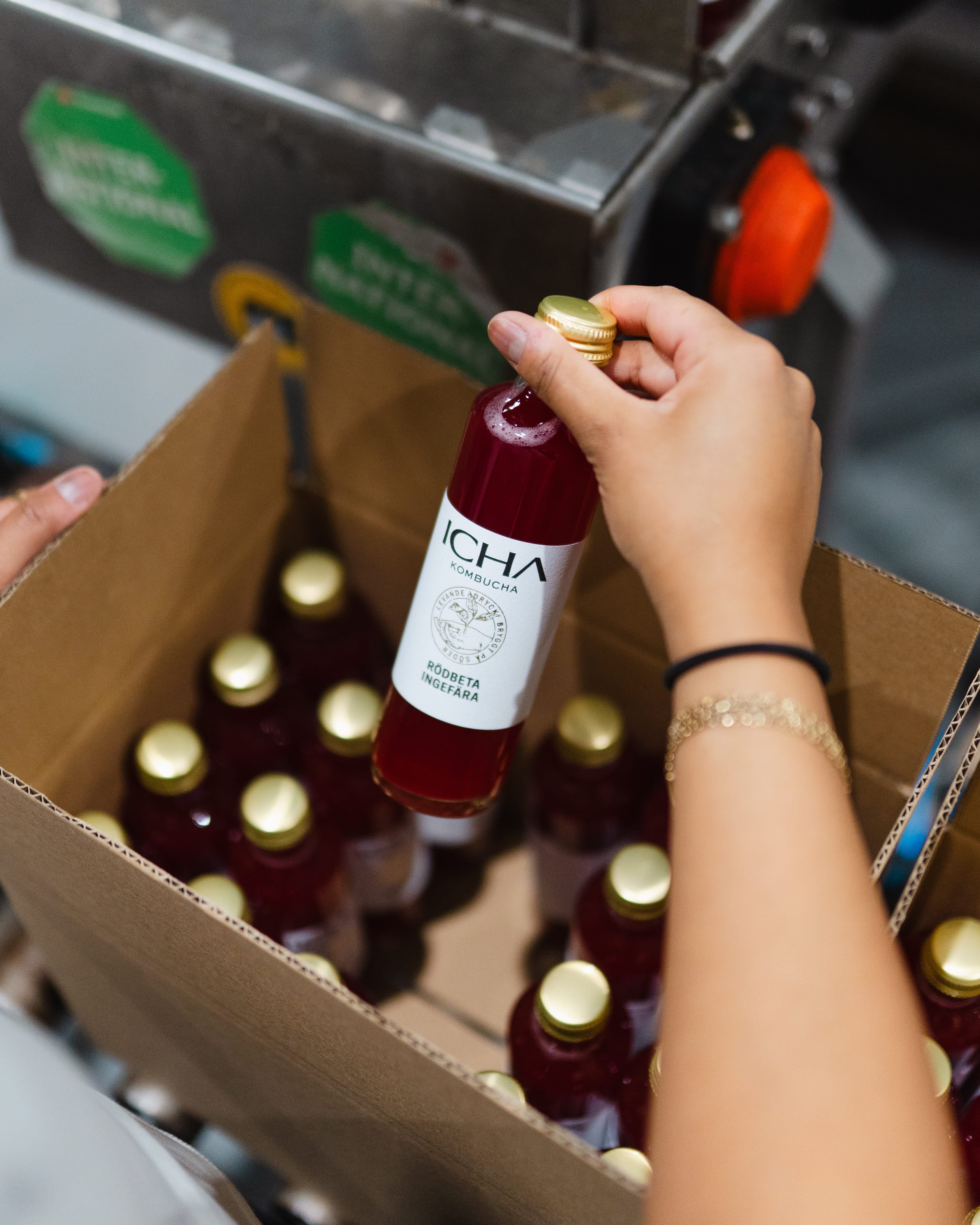 Rödbeta & Ingefära Kombucha (EKO)