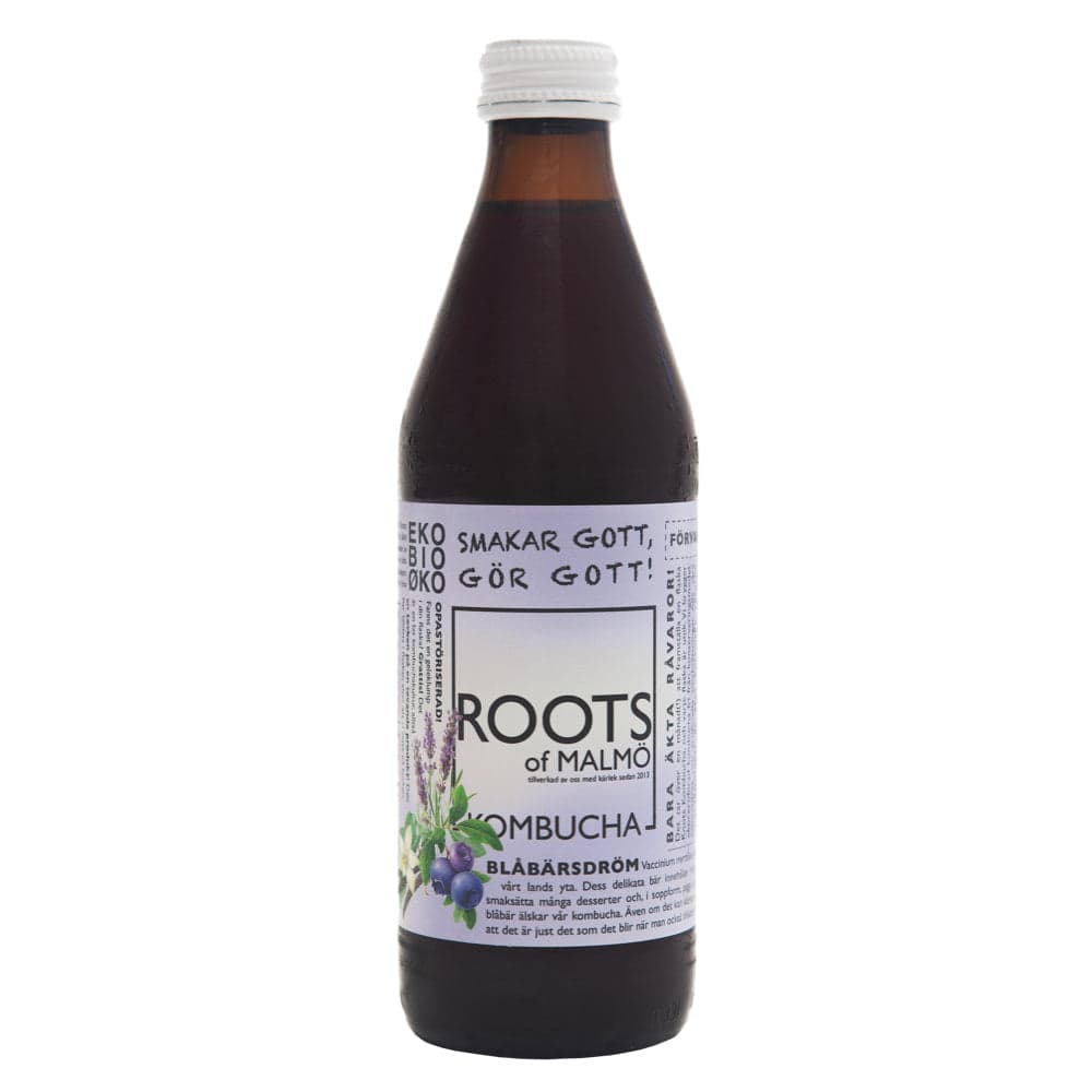 Kombucha - Blåbärsdröm EKO 33cl