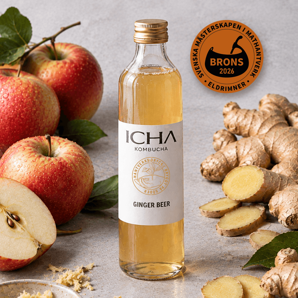 Ginger Beer Kombucha (EKO)