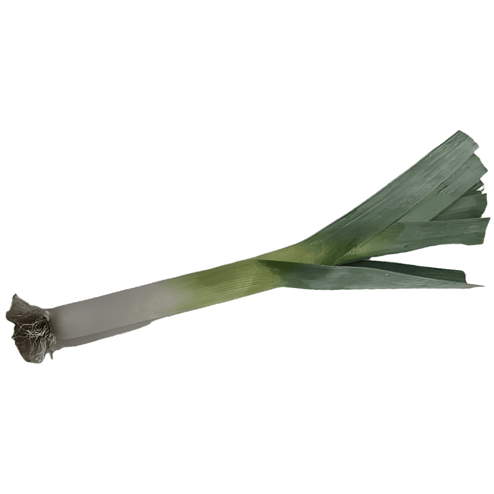 Purjolök 2-pack