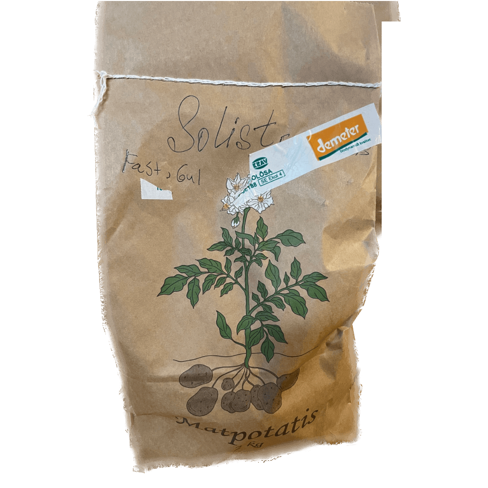 Potatis Fast Gul Solist 2kg - KRAV