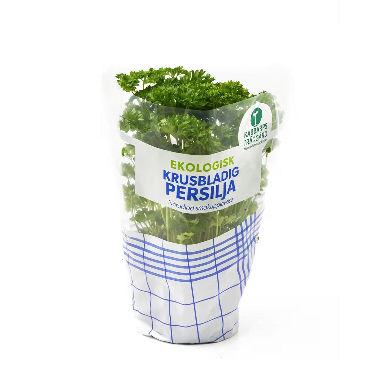 Persilja - Krusbladig EKO